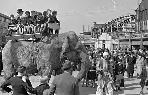 Elephant Ride