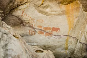 Images Dated 21st March 2016: Elephant rock art paintings near Stadsaal Caves, Cederberg Wilderness Area, Western Cape Province