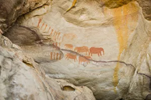 Images Dated 21st March 2016: Elephant rock art paintings near Stadsaal Caves, Cederberg Wilderness Area, Western Cape Province