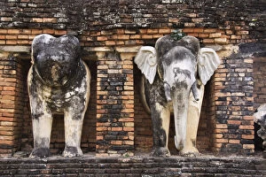 Images Dated 3rd February 2009: Elephant Statues of Sukhothai