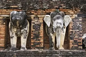 Elephant Statues of Sukhothai