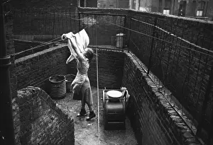 Washing Line Prints: Elephant Yard