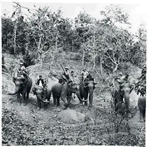 Supply Prints: Elephants Used As Tanks To Carry Soldier