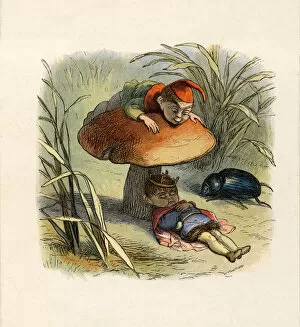 Images Dated 23rd April 2019: The Elf King Asleep Beneath a Toadstool