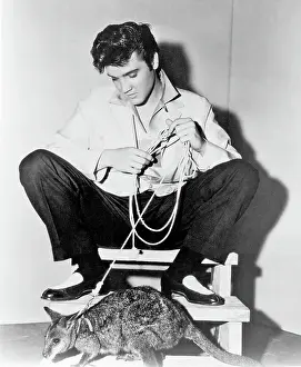 Elvis Presley with a kangaroo for Jailhouse Rock
