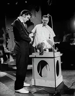 Elvis Presley with Steve Allen and a Hound Dog on the Tonight Show