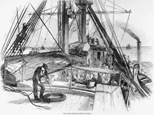Emigrant Ship