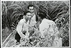 Malaysia Prints: Emissaries of Chin Peng Delivering Message