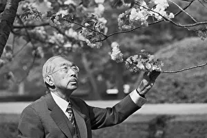 Emperor Hirohito Inspecting Cherry Blossoms