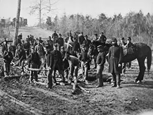 Engineer Corps Making Corduroy Roads