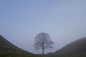 Solitude Gallery: England, Northumberland, Hadrians Wall