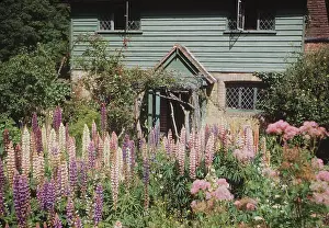 An English Country Garden