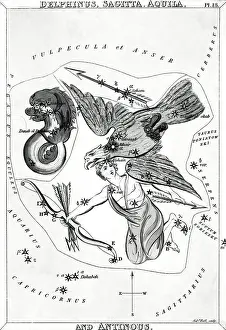 Dolphin Prints: Engraving Of 4 Non-Zodiac Constellations
