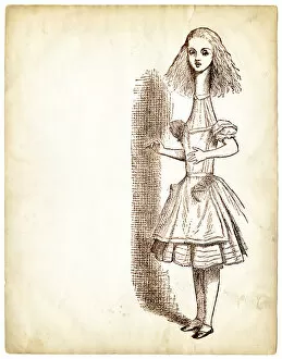 Images Dated 15th January 2015: Engraving Alice in Wonderland
