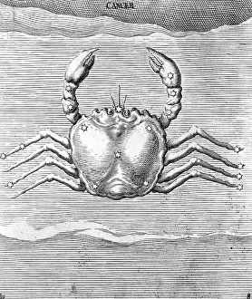 Engraving Of Constellation Cancer