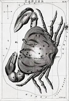 Cancer Prints: Engraving Of The Constellation Cancer