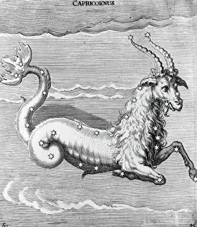 Engraving Of Constellation Capricornus