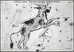 Lynx Prints: Engraving; Dog Constellation, Telescope