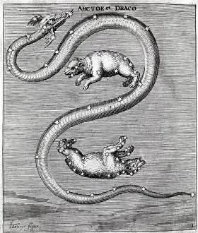 Engraving Draco & Arctoe Constellations