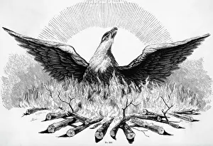 Birth Prints: Engraving of Phoenix Rising from Flames