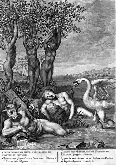 Swan Prints: Engraving Of Scene From Metamorphoses