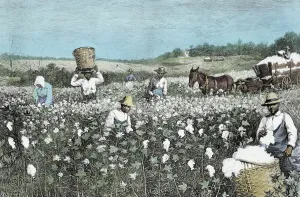Working Prints: Engraving of Slaves Working in Field