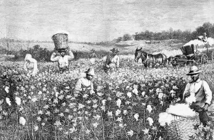 Occupations Prints: Engraving of Slaves Working In Field by Horace Bradley