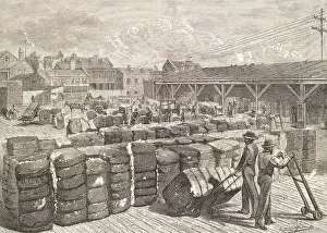 Cotton Prints: Engraving of Stevedores Loading Cotton Bales
