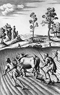 Engraving of Strip Farming by Wenceslaus Hollar