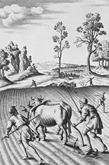 Farmer Prints: Engraving of Strip Farming by Wenceslaus Hollar