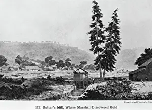 Pine Tree Prints: Engraving After Sutter's Mill