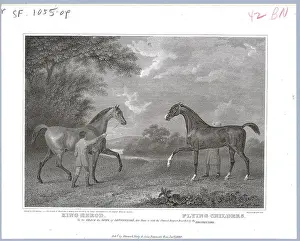 Engraving Of Thoroughbred Racehorses