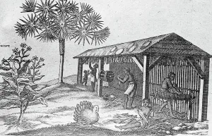 Virginia Prints: Engraving of a Tobacco Farm in Virginia