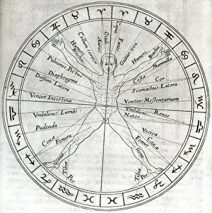 Engraving of a Zodiac Circle and Its Relation to the Human Body