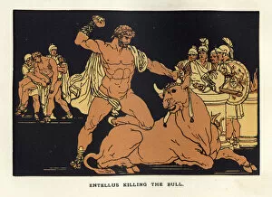 Images Dated 21st October 2009: Entellus killing the bull