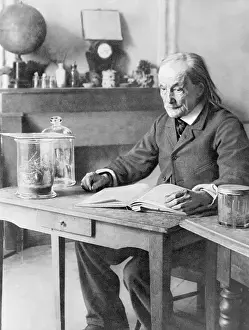 Entomology Prints: Entomologist Jean Henri Fabre In His Study