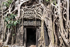 Images Dated 6th May 2015: The entrance to Ta Prohm Temple