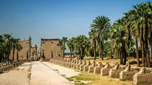 Images Dated 1st July 2016: Entrance to the Temple of Luxor, Luxor, Egypt