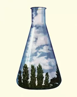 Environmental Flask