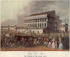 Racehorse Gallery: Epsom Grand Stand