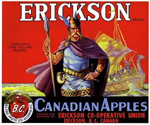 Armor Prints: Erickson Brand
