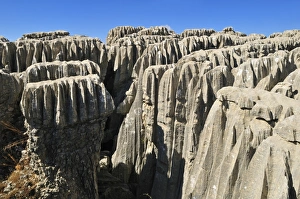 Persian Gulf Countries Gallery: Eroded limestone, karst formation at Qalaat Faqra, Lebanon, Middle East, West Asia