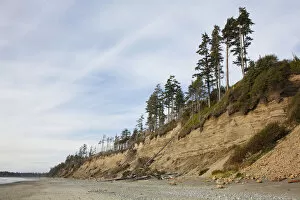 Images Dated 19th January 2012: The Eroding Sand Cliffs At Florencia Bay In Pacific Rim National Park Near Tofino