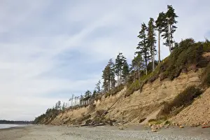 Eroding Prints: The Eroding Sand Cliffs At Florencia Bay In Pacific Rim National Park Near Tofino
