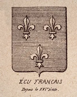 Escutcheon, or heraldic shield, 16th Century French coat of arms, fleur de lis on striped background