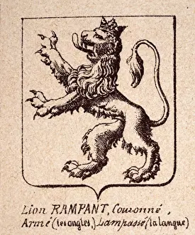 Escutcheon, or heraldic shield, feature the Lion Rampant wearing crown, Heraldry