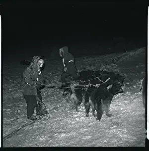 Greenland Prints: Eskimo Dog Rescue Team Resting for the Night