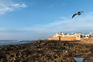 Images Dated 4th March 2014: Essaouira, old portuguese ramparts by the sea