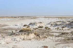 Images Dated 20th August 2012: Etosha salt pan, Etosha National Park, Namibia