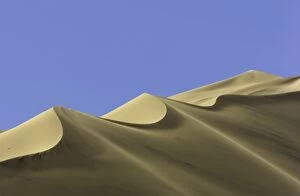 Images Dated 5th November 2008: Eureka Valley Dunes, Death Valley N.P